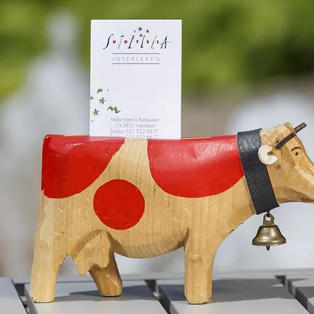 ستيلا سويس كواليتي إنترلاكن