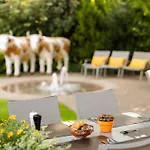 Stella Swiss Quality 4* Interlaken